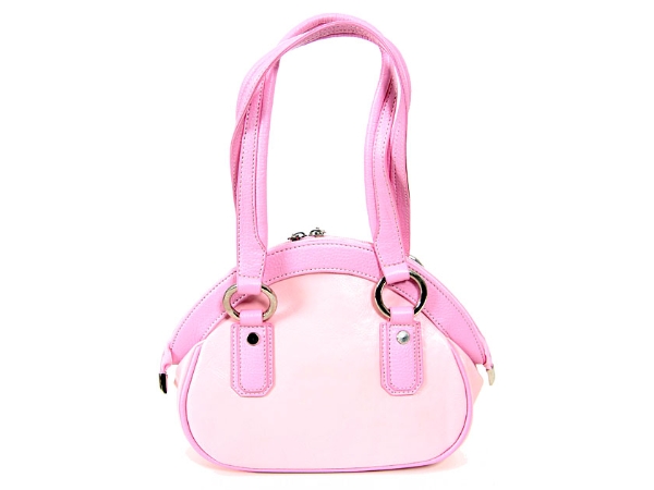 Fashion Handbag
