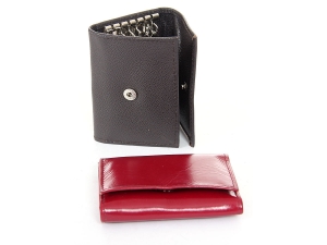 Keys Case